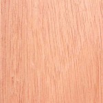 Amoora – Indonesian