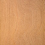 Myrtle – South American